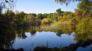 Alerta en Jiutepec: Bajo Nivel de Agua en Laguna de Hueyapan Amenaza Abasto en Temporada de Estiaje